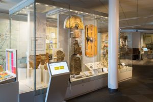 Museum space at the Danum Gallery, Library and Museum