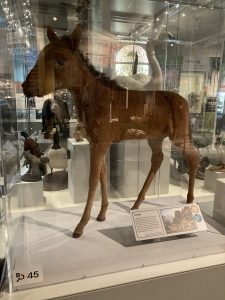 Quagga taxidermy.