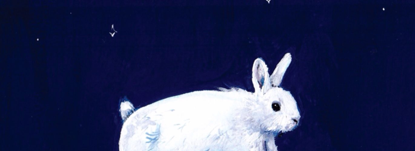 White rabbit drawing amongst a blue sky with stars