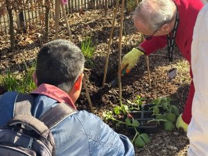 Danum Community Garden