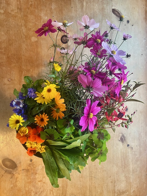 Up-cycling with Nature: Natural Dyeing from the Colour Garden