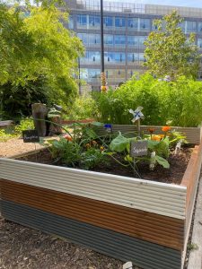 Danum Community Garden